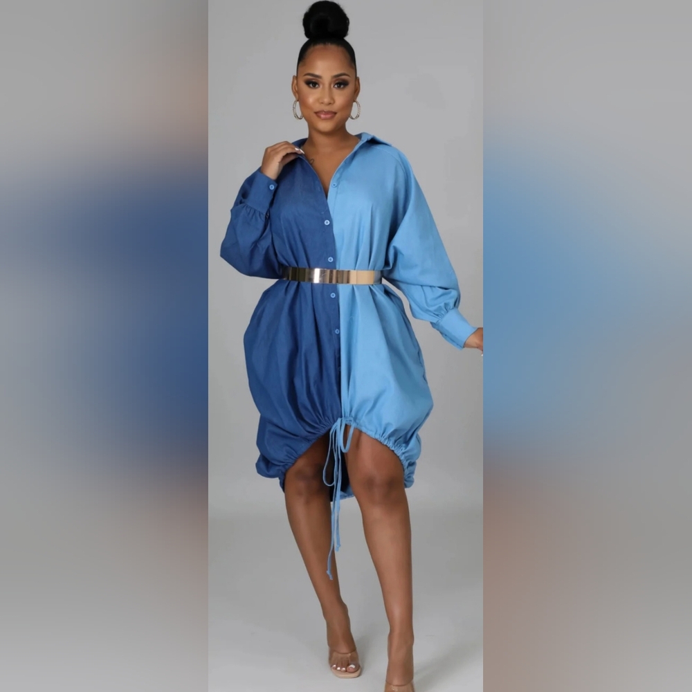 Two-Tone Color Block Button-Up Dress - Picture 3 of 10
